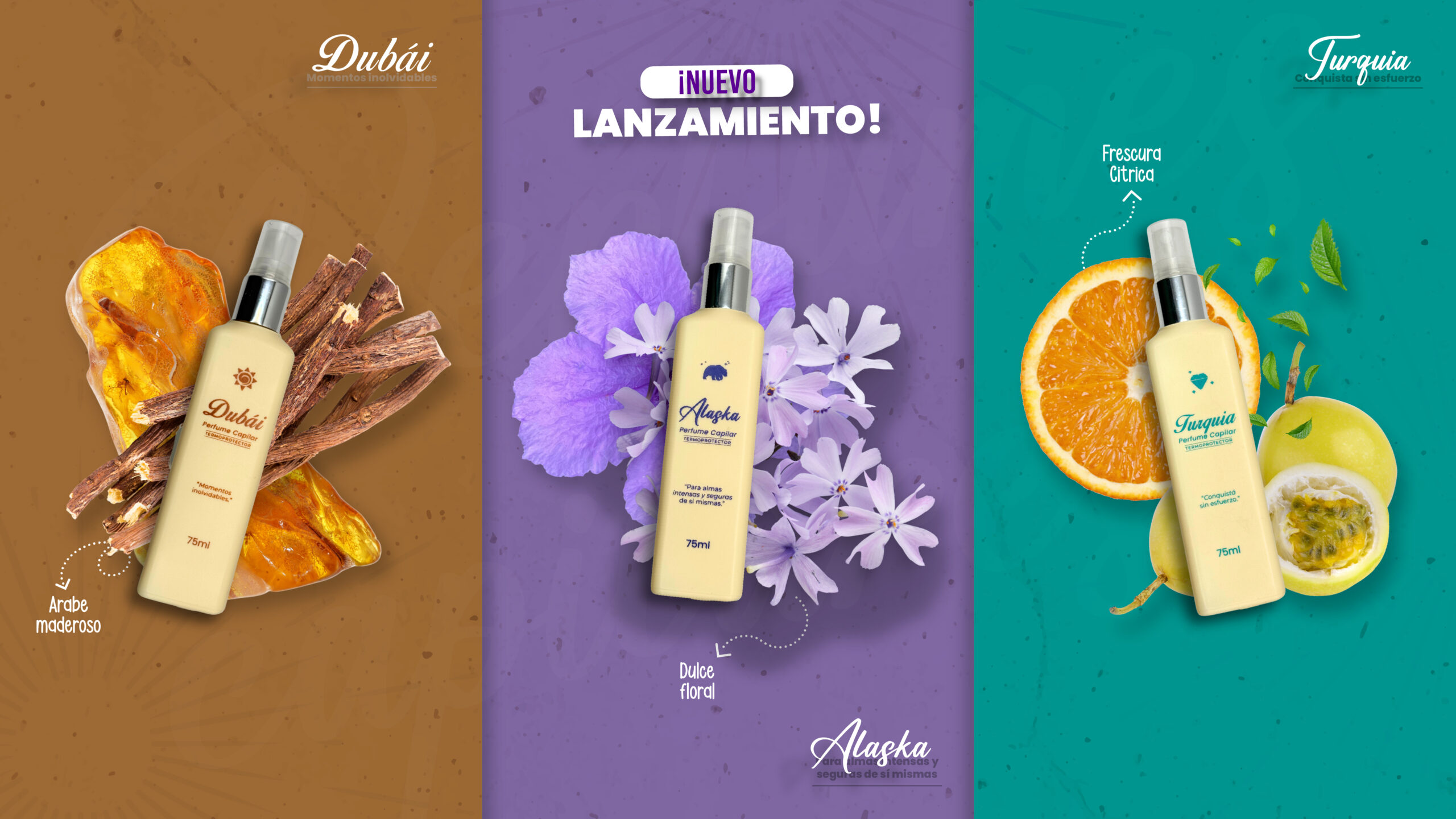 Mesa de trabajo 4 copia 3@4x-100